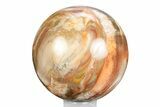 Colorful Petrified Wood (Araucaria) Sphere - Madagascar #245547-1